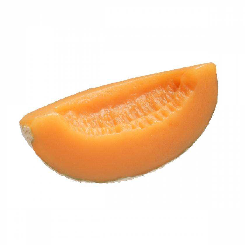 Cantaloupe Food Replica
