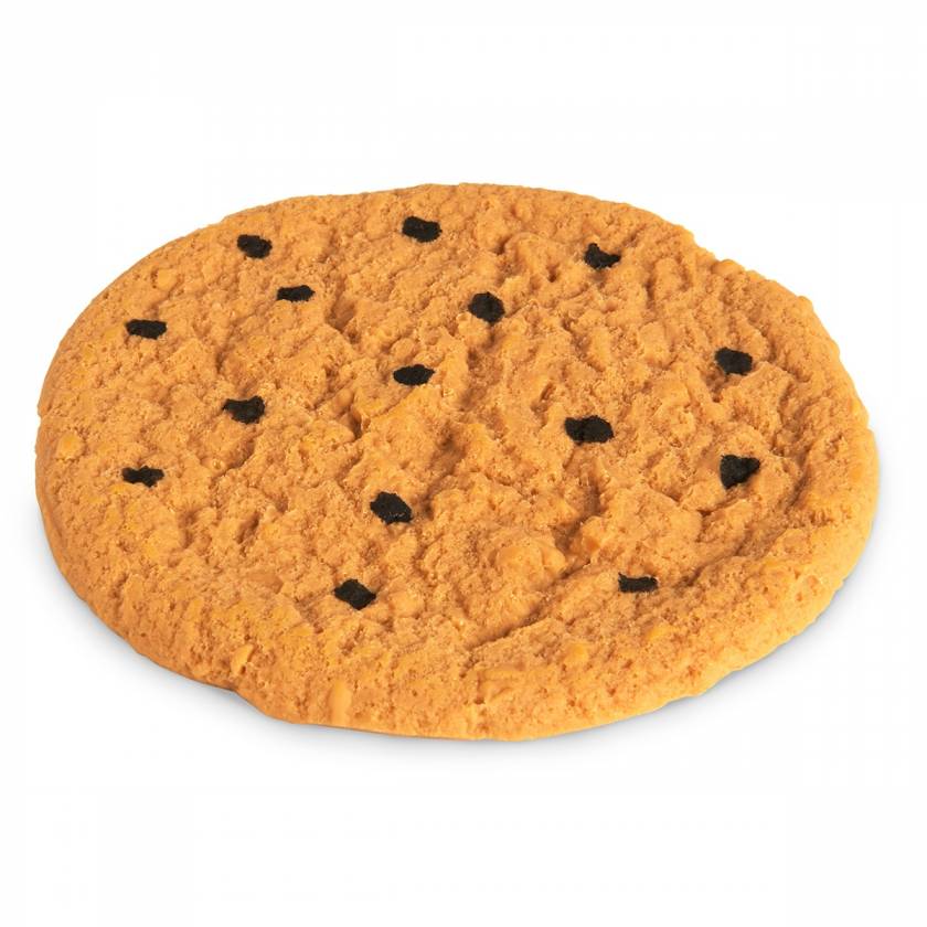 Life/form Cookie Food Replica - Chocolate Chip - 4 dia. (10 cm)