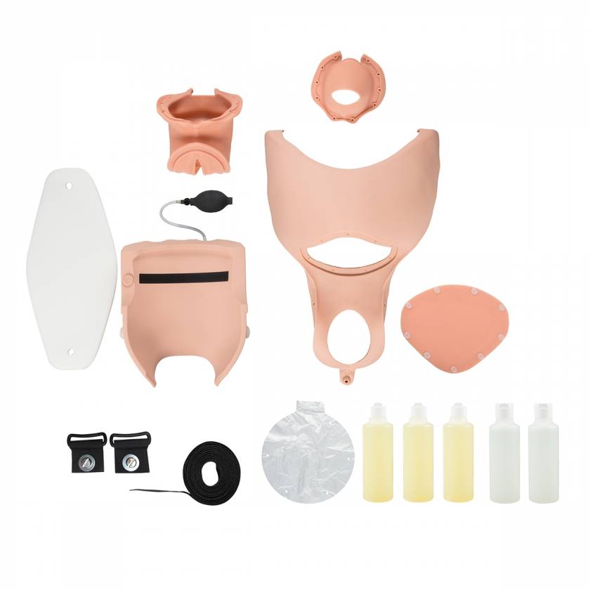 Upgrade Kit For 3B Birthing Simulator Basic