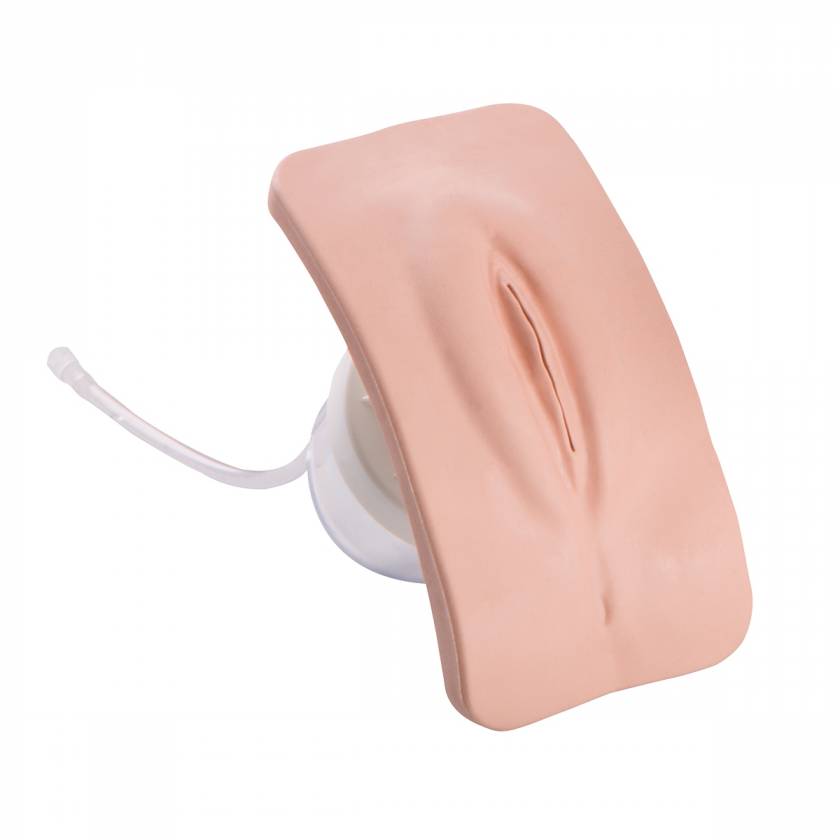 Female Genital Insert For P93 Pro/Basic