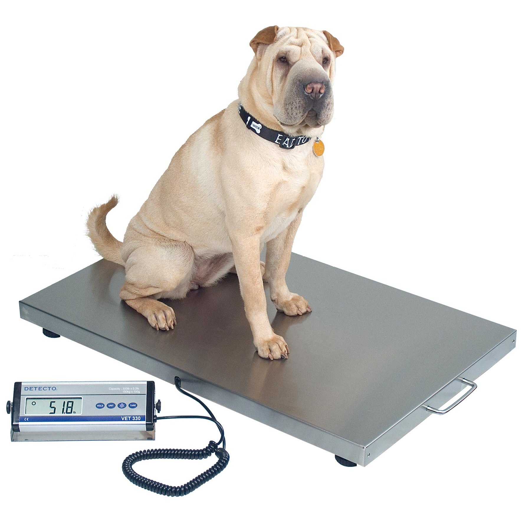 https://www.universalmedicalinc.com/media/catalog/product/cache/d60f1841494d30f8a7f9f24143a350cc/v/e/vet330wh_portable-digital-veterinary-scale-with-dog_1.jpg