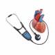 3B Scientific 1020104 SimScope® Auscultation Training Stethoscope WiFi - with a Heart Model (sold separately)