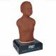 3B Scientific 1022473 PAT® - Pediatric Auscultation Trainer with Laptop, Dark Skin Tone - Manikin