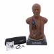 3B Scientific 1022474 SAM Basic® - Affordable Adult Auscultation Manikin with SimScope® Training Stethoscope, Dark Skin Tone