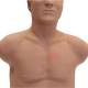 3B Scientific 1024553 SAM4 Auscultation Manikin Light Skin Tone - With Auscultation Point