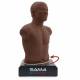 3B Scientific 1025087 SAM4 Auscultation Manikin Dark Skin Tone - 360° Rotating Base facilitates demonstration and examination for multiple users.