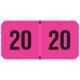 2020 FPYM Year Labels - PMA Fluorescent Pink - Size 3/4" H x 1 1/2" W