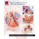 The Illustrated Atlas Of Human Pathology