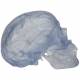 3B Scientific A20-TClassic Human Skull - Transparent (3-Part