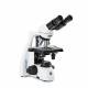 Globe Scientific EBS-1152-PLI bScope Binocular Compound Microscope, HWF 10x/20mm Eyepieces, Quintuple Nosepiece with Plan PLi