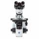 Globe Scientific EBS-1152-PLI bScope Binocular Compound Microscope, HWF 10x/20mm Eyepieces, Quintuple Nosepiece with Plan PLi
