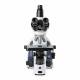 Globe Scientific EIS-1153-PLI iScope Trinocular Compound Microscope, EWF 10x/22mm Eyepieces, Quintuple Nosepiece with Plan PLi