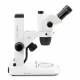 Globe Scientific ENZ-1703-S NexiusZoom EVO Trinocular Stereo Microscope, HWF 10x/23mm Eyepieces, Plan Achromatic 0.65x - 5.5x Zoom Objective, Rack & Pinion Stand