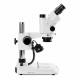 Globe Scientific ESB-1903-P StereoBlue Trinocular Stereo Microscope, WF 10x/21mm Eyepieces with Eyecups, 0.7x - 4.5x Zoom Objective, Pillar Stand