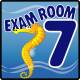 Clinton EX7-O Ocean Series Exam Room 7 Sign