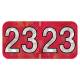 2023 Year Labels - Holographic Red - Size 3/4" H x 1 1/2" W