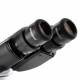 Extended plan widefield EWF 10x/22mm Eyepieces