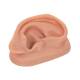 Acupuncture Ear (Right) Model N15/1R