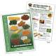 Food Group TearPad - Vegetable Group - 8-1/2 x 11 - 50 Sheets