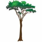 Clinton Wall Sticker - Acacia Tree