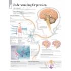 Understanding Depression Chart