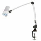 Waldmann D15994900 HALUX N30-1 P F1 LED Reading Light with 32.3" Articulating Double Arm - Table Clamp Mounted