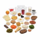 Life/form Older Americans Food Replica Kit