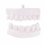 Replacement Partial Denture For P10 and P11