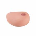 Replacement Breast For P124 Sonotrain Breast Model With Cysts